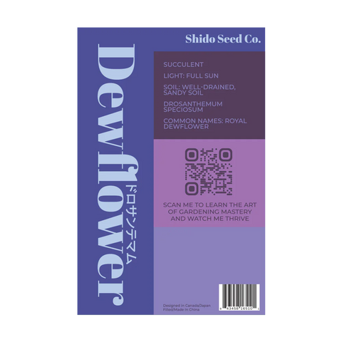 Shido Seeds Dewflower Flower Seeds Packet