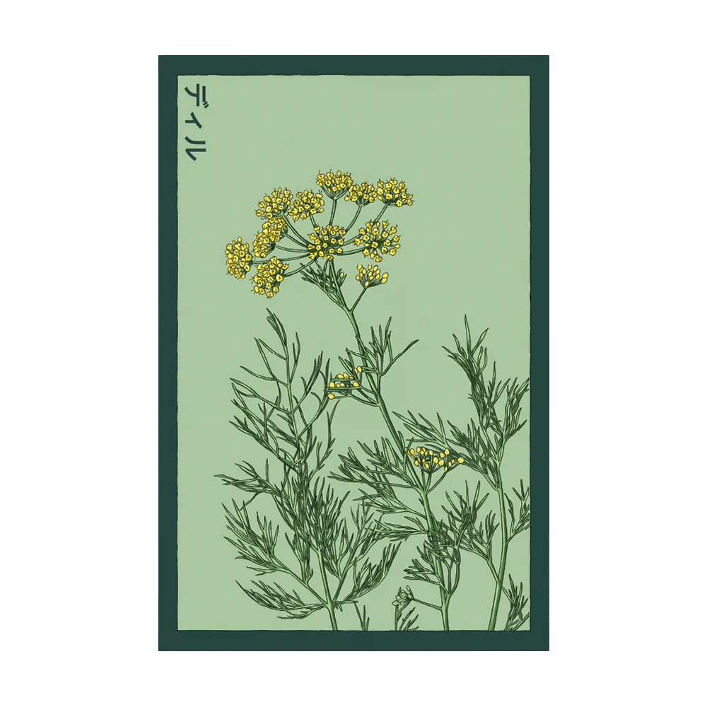 Shido Seeds Dill Seeds Packet