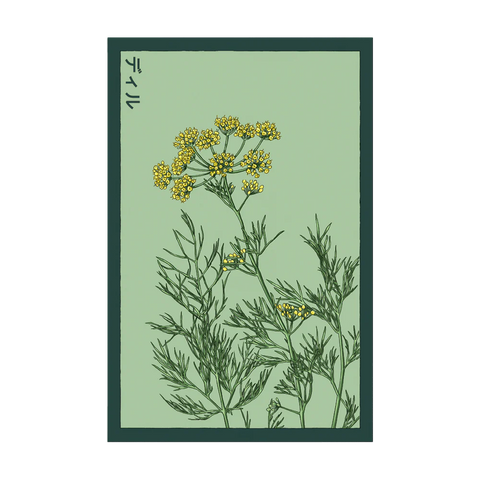 Shido Seeds Dill Seeds Packet