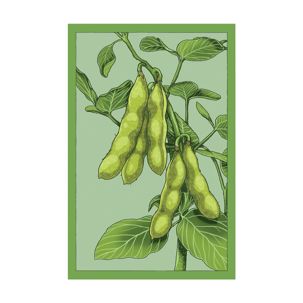 Shido Seeds Edamame Vegetable Seeds Packet