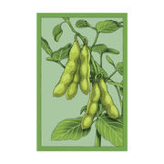 Shido Seeds Edamame Vegetable Seeds Packet