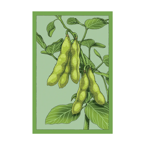 Shido Seeds Edamame Vegetable Seeds Packet
