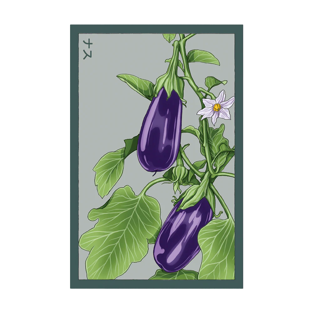 Shido Seeds Eggplant Vegetable Seeds Packet