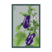 Shido Seeds Eggplant Vegetable Seeds Packet
