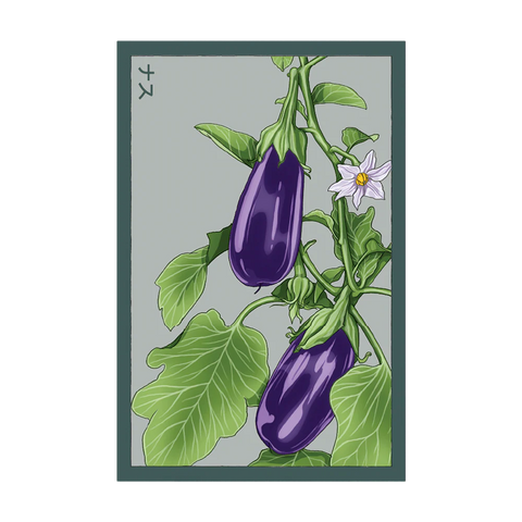 Shido Seeds Eggplant Vegetable Seeds Packet