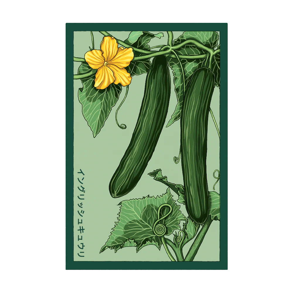 Shido Seeds English Cucumber