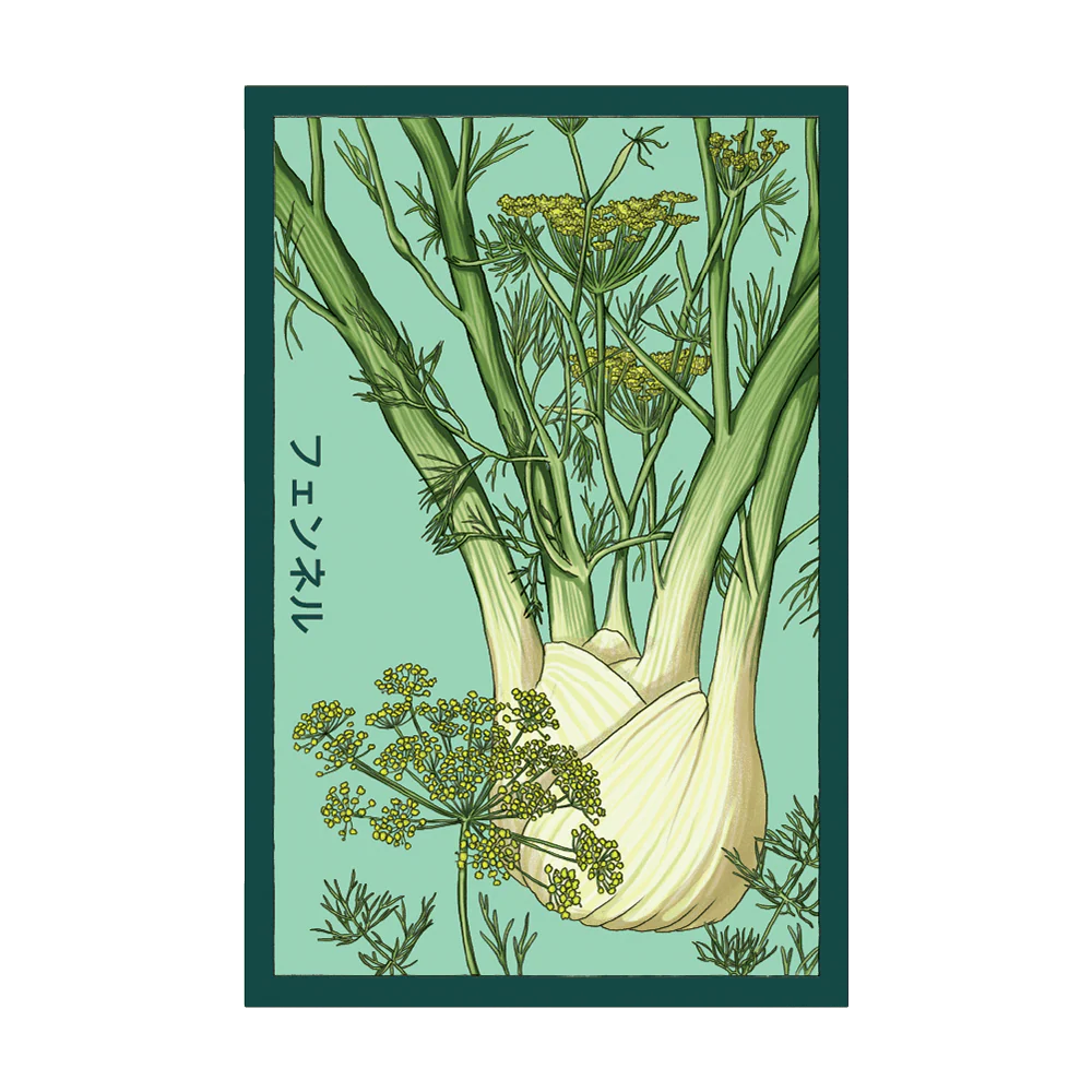 Shido Seeds Fennel Vegetable Plant Seeds
