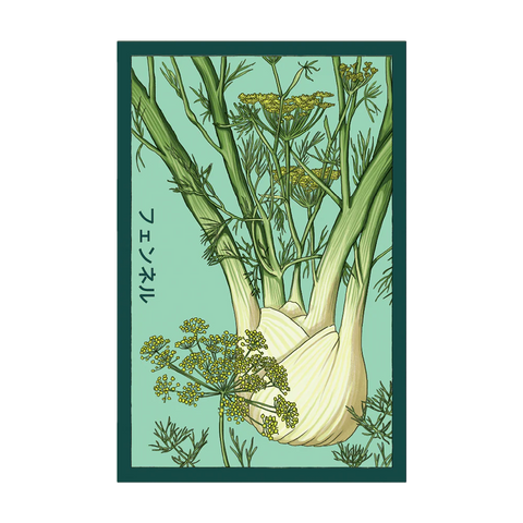Shido Seeds Fennel Vegetable Plant Seeds