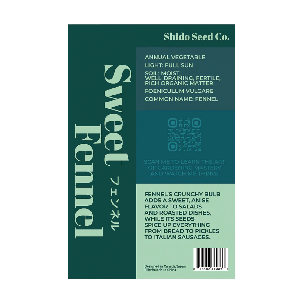 Shido Seeds Fennel Vegetable Plant Seeds