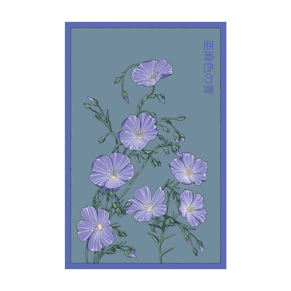 Shido Seeds Flax Blue Flower Packet