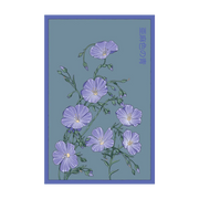 Shido Seeds Flax Blue Flower Packet