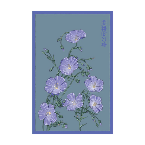 Shido Seeds Flax Blue Flower Packet