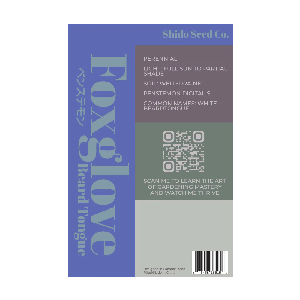 Shido Seeds Foxglove Beard Tongue Flower