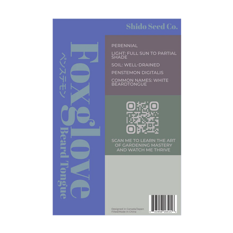 Shido Seeds Foxglove Beard Tongue Flower