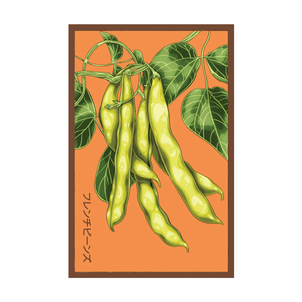 Shido Seeds Funky Squash Seed Packet