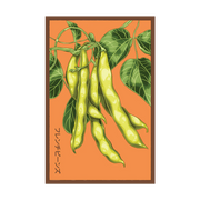 Shido Seeds Funky Squash Seed Packet
