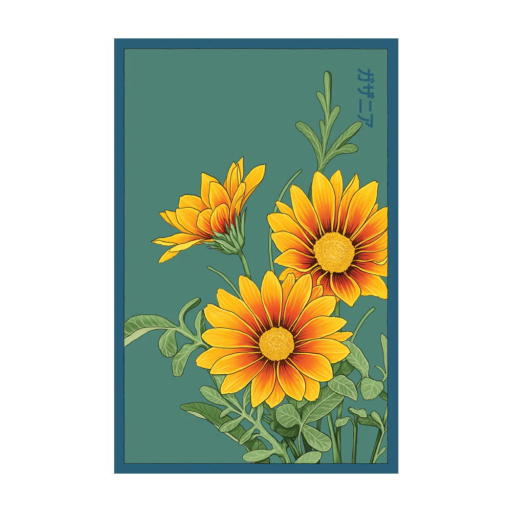 Shido Seeds Gazania Flower Seeds Packet
