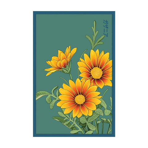 Shido Seeds Gazania Flower Seeds Packet