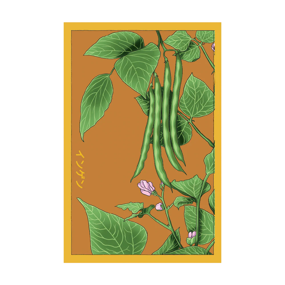 Shido Seeds Green Beans Vegetable Seeds Packet