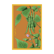 Shido Seeds Green Beans Vegetable Seeds Packet