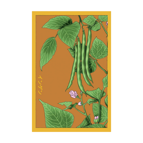 Shido Seeds Green Beans Vegetable Seeds Packet