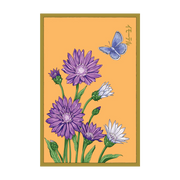Shido Seeds Immortelle Flower Seeds Packet