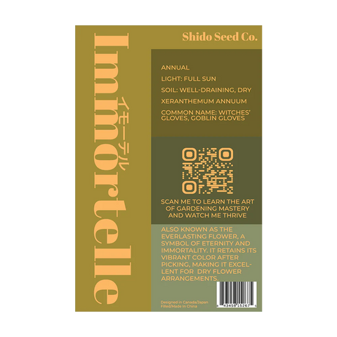 Shido Seeds Immortelle Flower Seeds Packet