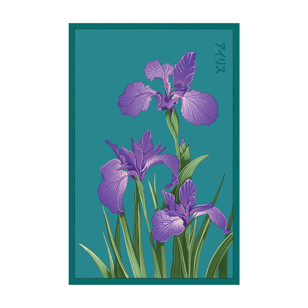 Shido Seeds Iris Flower Seeds Packet