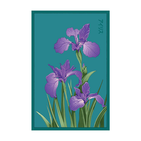 Shido Seeds Iris Flower Seeds Packet