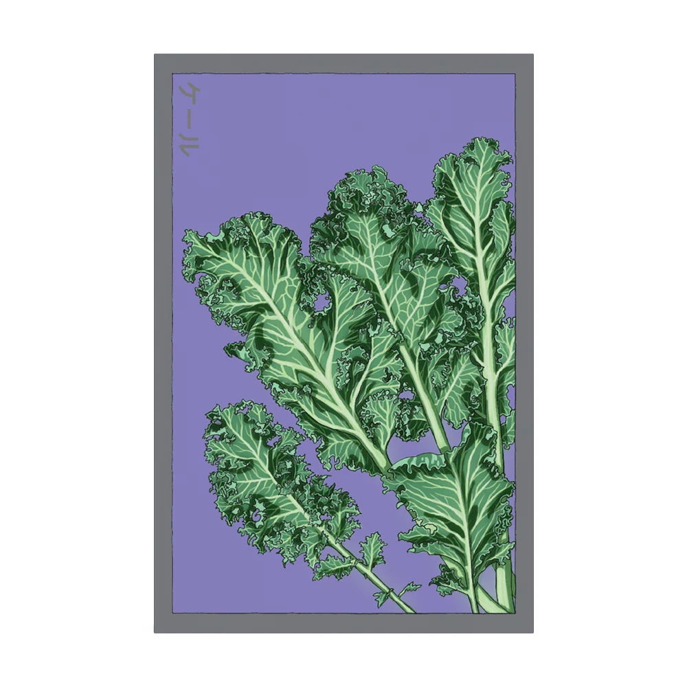 Shido Seeds Kale Vegetable Seeds