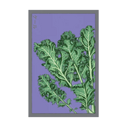 Shido Seeds Kale Vegetable Seeds
