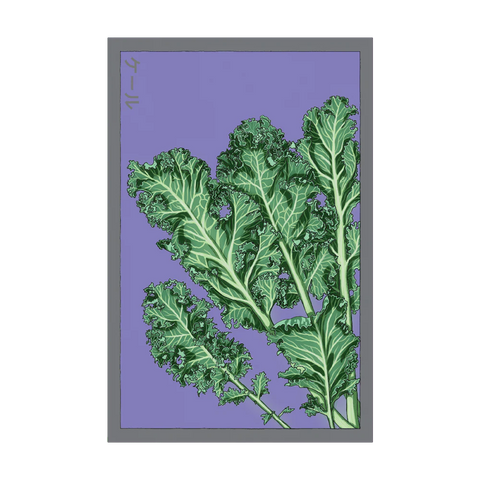 Shido Seeds Kale Vegetable Seeds