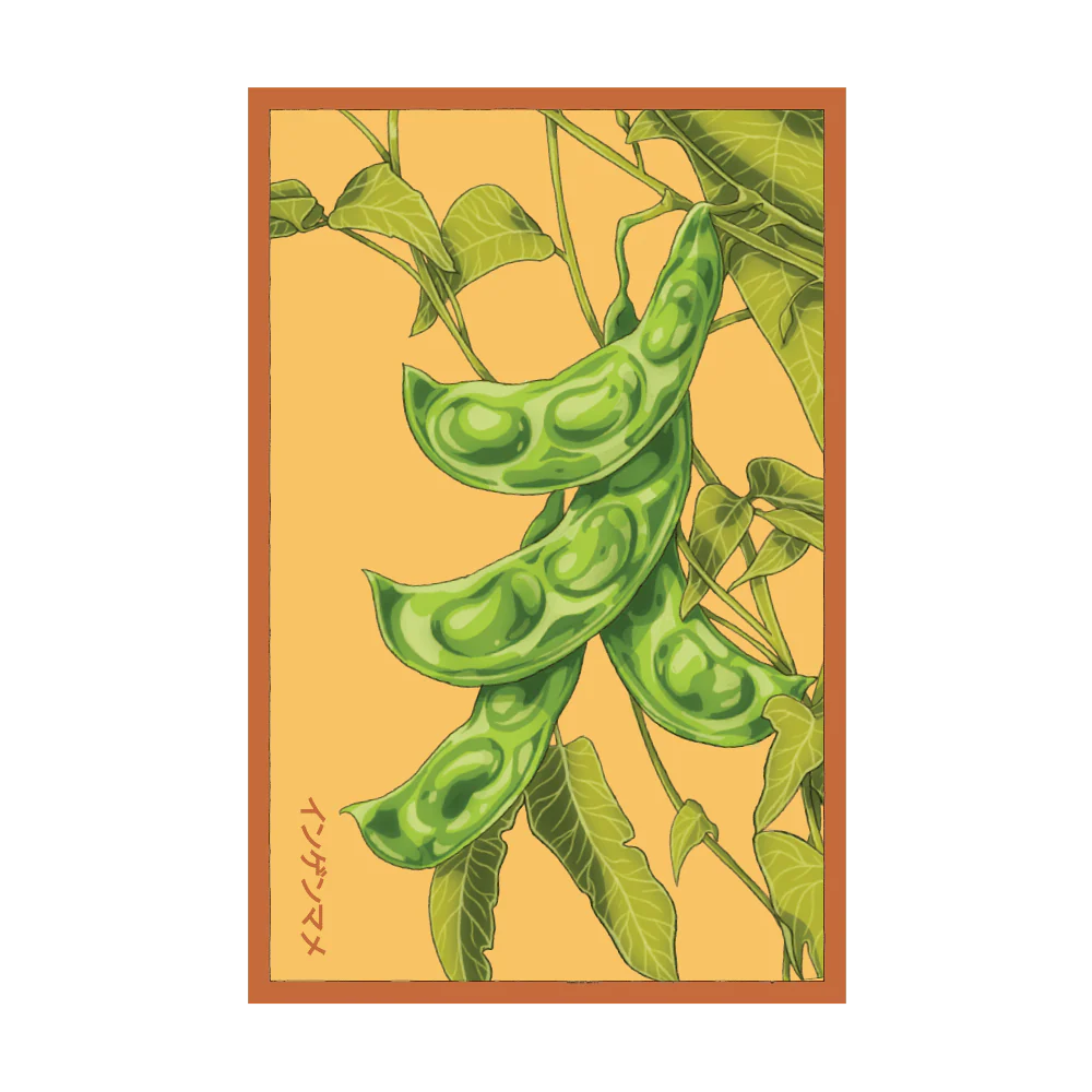 Shido Seeds King of the Garden Bean