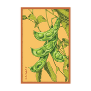 Shido Seeds King of the Garden Bean