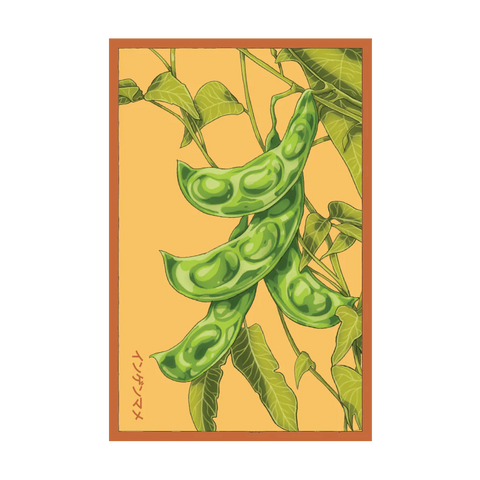 Shido Seeds King of the Garden Bean