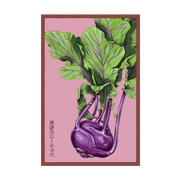 Shido Seeds Kohlrabi Purple Delicacy