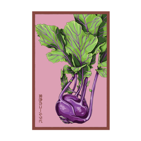 Shido Seeds Kohlrabi Purple Delicacy