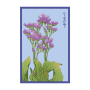 Shido Seeds Sea Lavender Flower Seeds