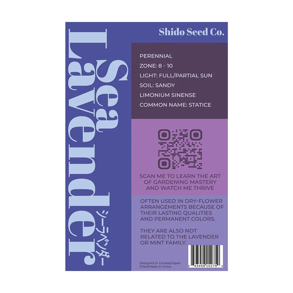 Shido Seeds Sea Lavender Flower Seeds