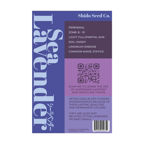 Shido Seeds Sea Lavender Flower Seeds