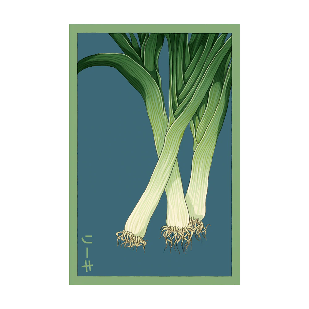 Shido Seeds Leek Vegetable Seeds Packet