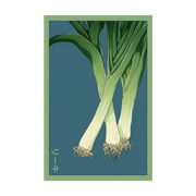 Shido Seeds Leek Vegetable Seeds Packet