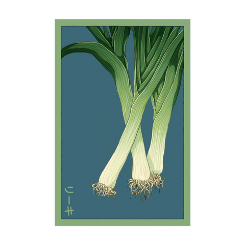 Shido Seeds Leek Vegetable Seeds Packet