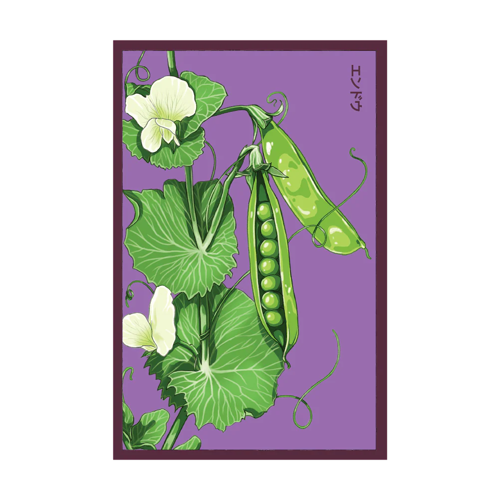 Shido Seeds Little Marvel Peas
