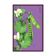 Shido Seeds Little Marvel Peas