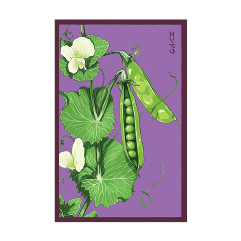 Shido Seeds Little Marvel Peas