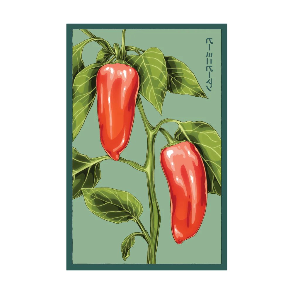 Shido Seeds Mini Sweet Peppers