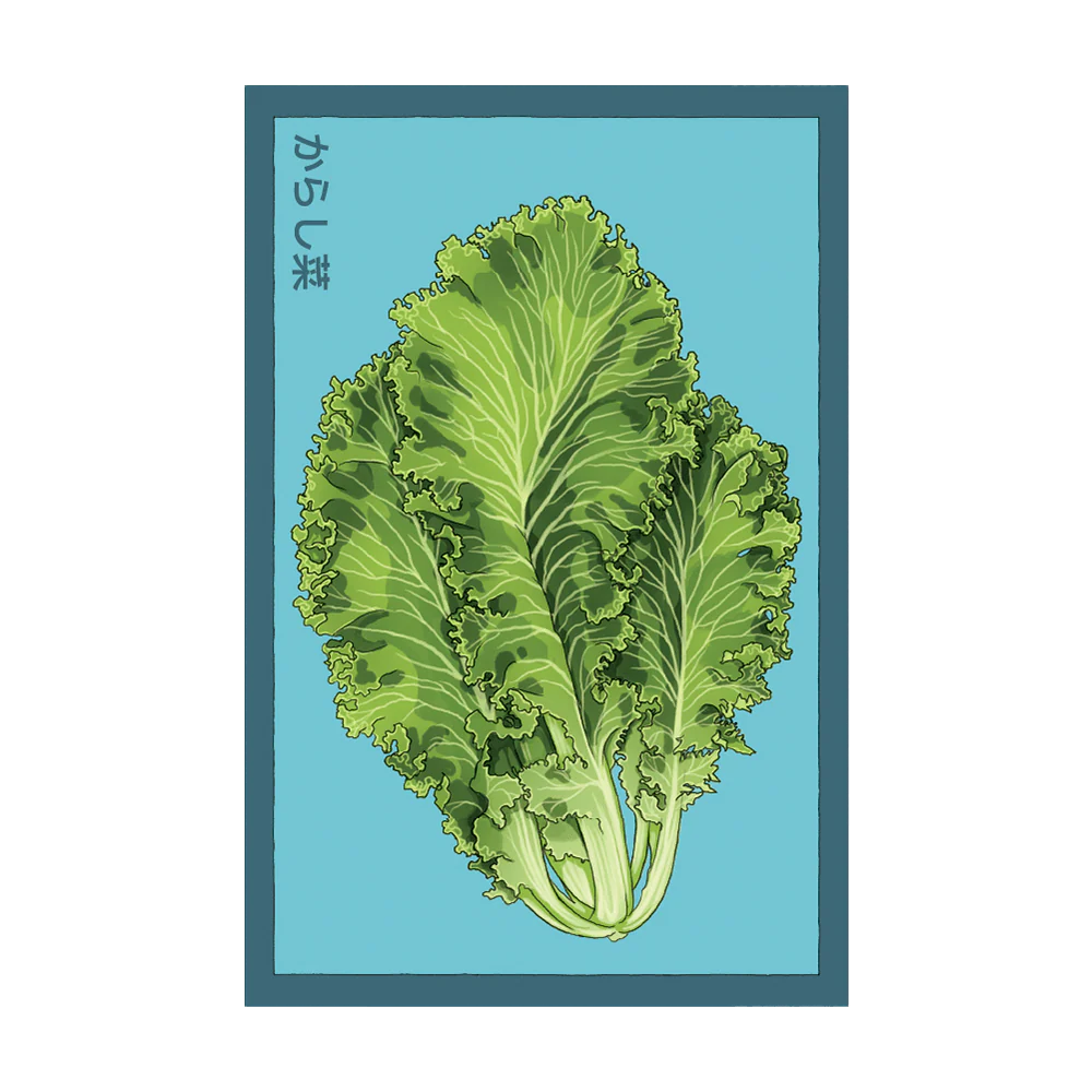 Shido Seeds Mustard Greens Vegetable Plant Seeds Packet