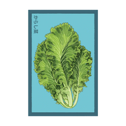 Shido Seeds Mustard Greens Vegetable Plant Seeds Packet