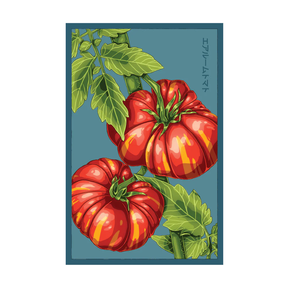 Shido Seeds Old German Heirloom Tomato